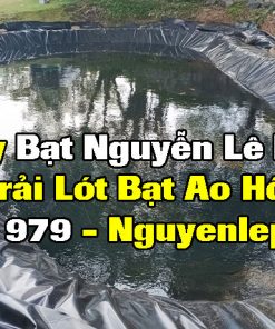 Bạt Lót Hồ Dầu Tiếng