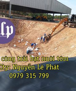 Bạt Lót Ao Hồ HDPE Hải Phòng