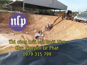 Bạt Lót Ao Hồ HDPE Hải Phòng