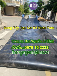 Địa Chỉ Bán Bạt Lót Hồ Chứa Nước Tại Tân Uyên