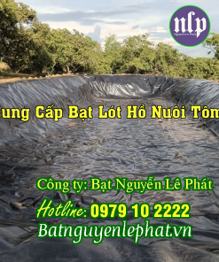 Bạt lót ao hồ tại Bến Tre