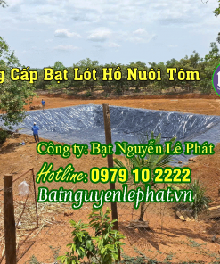 Bạt lót ao hồ tại Bến Tre