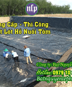 Bảng Báo Giá Sỉ - Lẻ Bạt HDPE Lót Hồ, Ao Nuôi Tôm - Giá Rẻ Tại Kho - Phân Phối Toàn Quốc