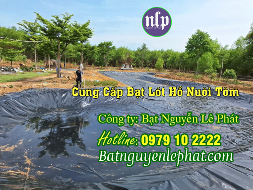 Thi Công Bạt Lót Hồ Chứa Nước Tưới Cây Tại Phú Giáo
