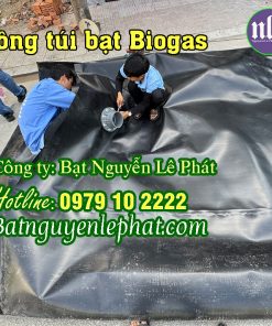 Thi Công Túi Bạt Chứa Khí Hầm Bigoas tại Đắk Nông Trang Trại Nuôi Heo Vịt