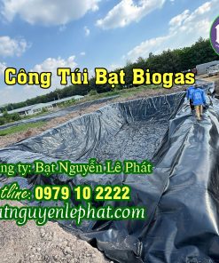 Thi Công Túi Bạt Chứa Khí Hầm Bigoas tại Đắk Nông Trang Trại Nuôi Heo Vịt