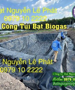 Thi Công Túi Bạt Chứa Khí Hầm Bigoas tại Đắk Nông Trang Trại Nuôi Heo Vịt