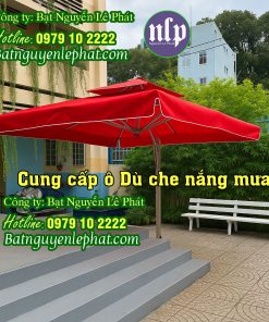 Dù che nắng mưa ngoài trời
